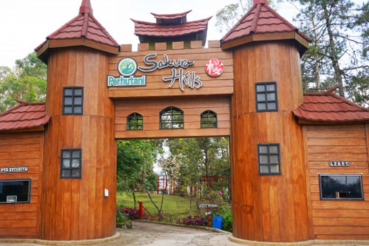 Sakura Hills Tawangmangu, Daya Tarik, dan Harga Tiket 2024